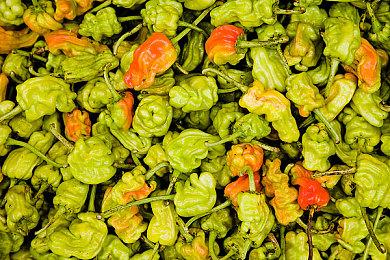 《原子之心》发布1.5.0.0版本更新 增加日语配音